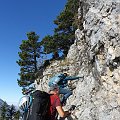 DSC00824