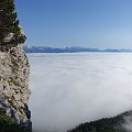 DSC00825
