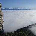 DSC00826