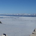 DSC00830