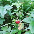 IMG_20240717_082050