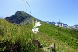 2025-06-28_11-13-32